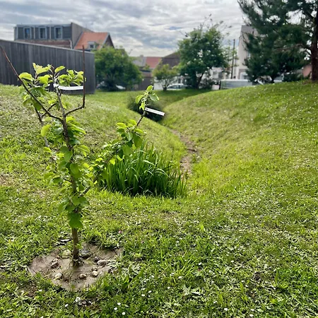 Premiere Classe Centre-les Docks 2*