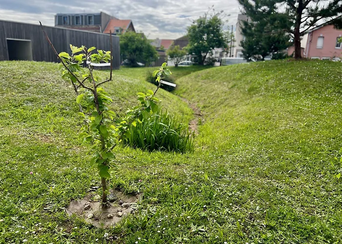 Premiere Classe Centre-les Docks 2*